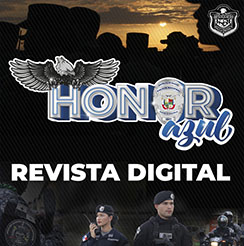 Revista